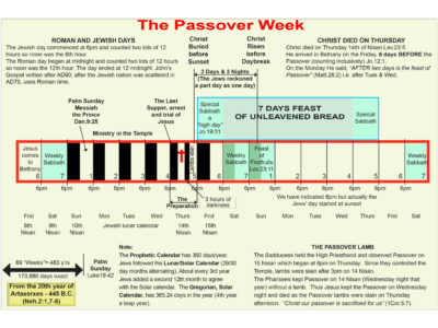 1549934664wpdm_67-Passover Week.jpg